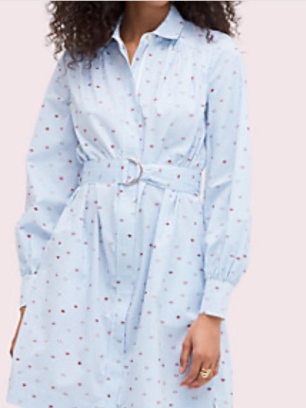 kate spade new york Shirt Dress S Blue/White Striped Lips Belted Pockets